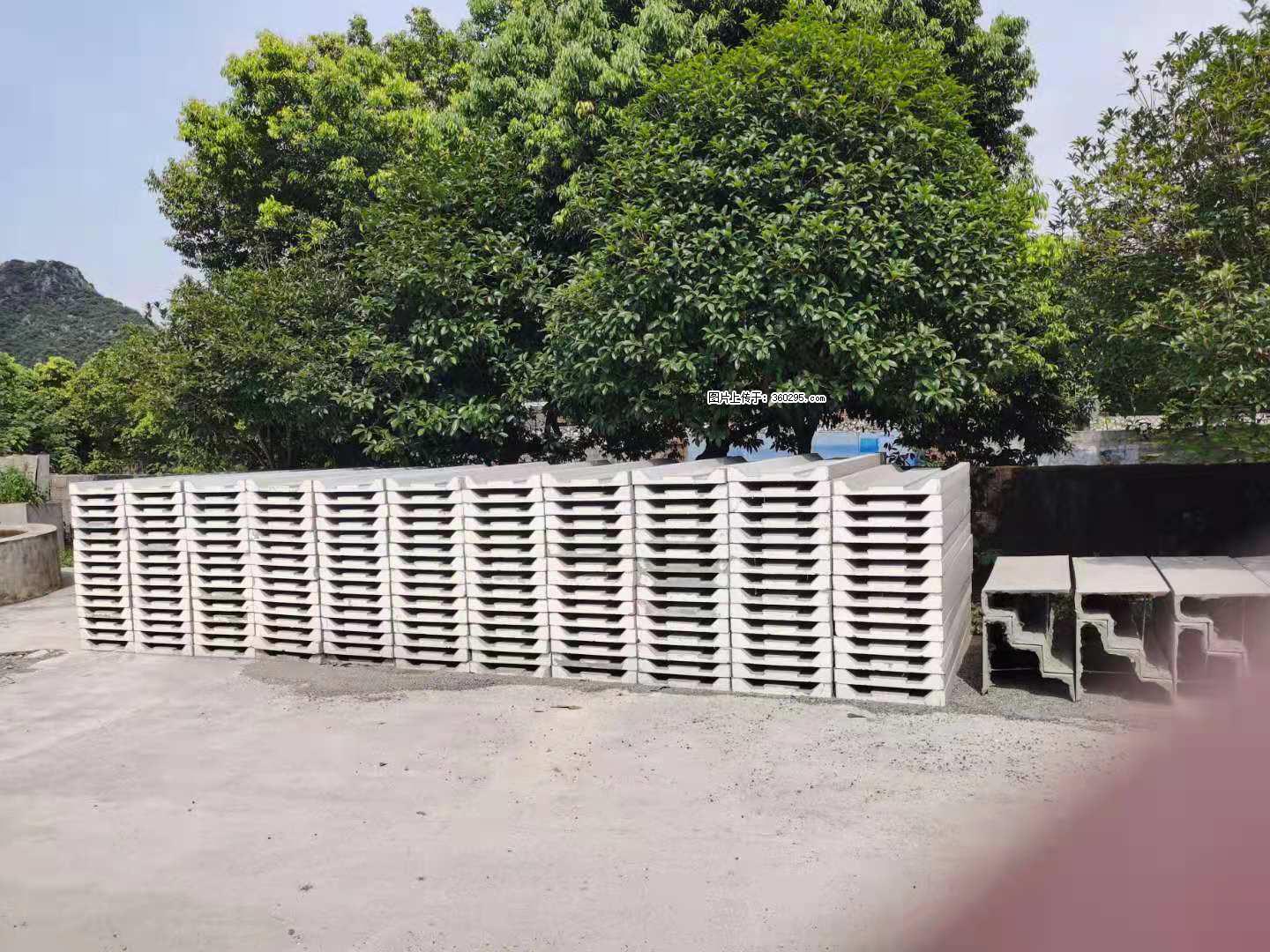 三象公司厂部产品(10) - 娄底三象EPS建材 ld.sx311.cc